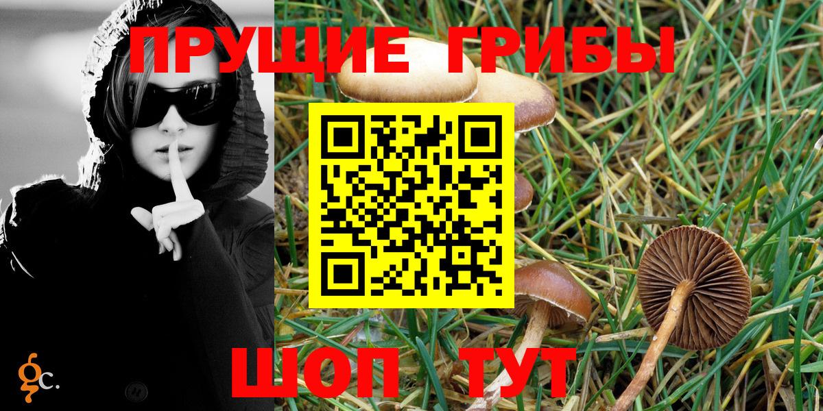 Магнитогорск  Галлюциногенные грибы Psilocybine cubensis  Галлюциногенные грибы MAGIC MUSHROOMS  Вход с VPN 