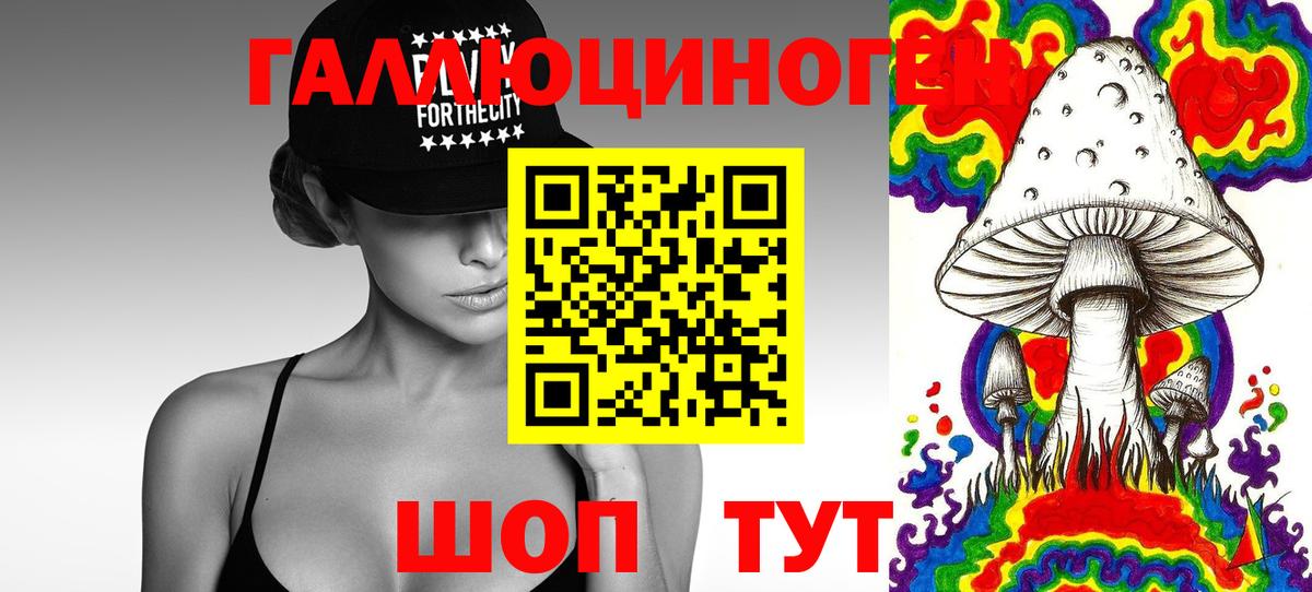 Псилоцибиновые грибы Psilocybe Магнитогорск